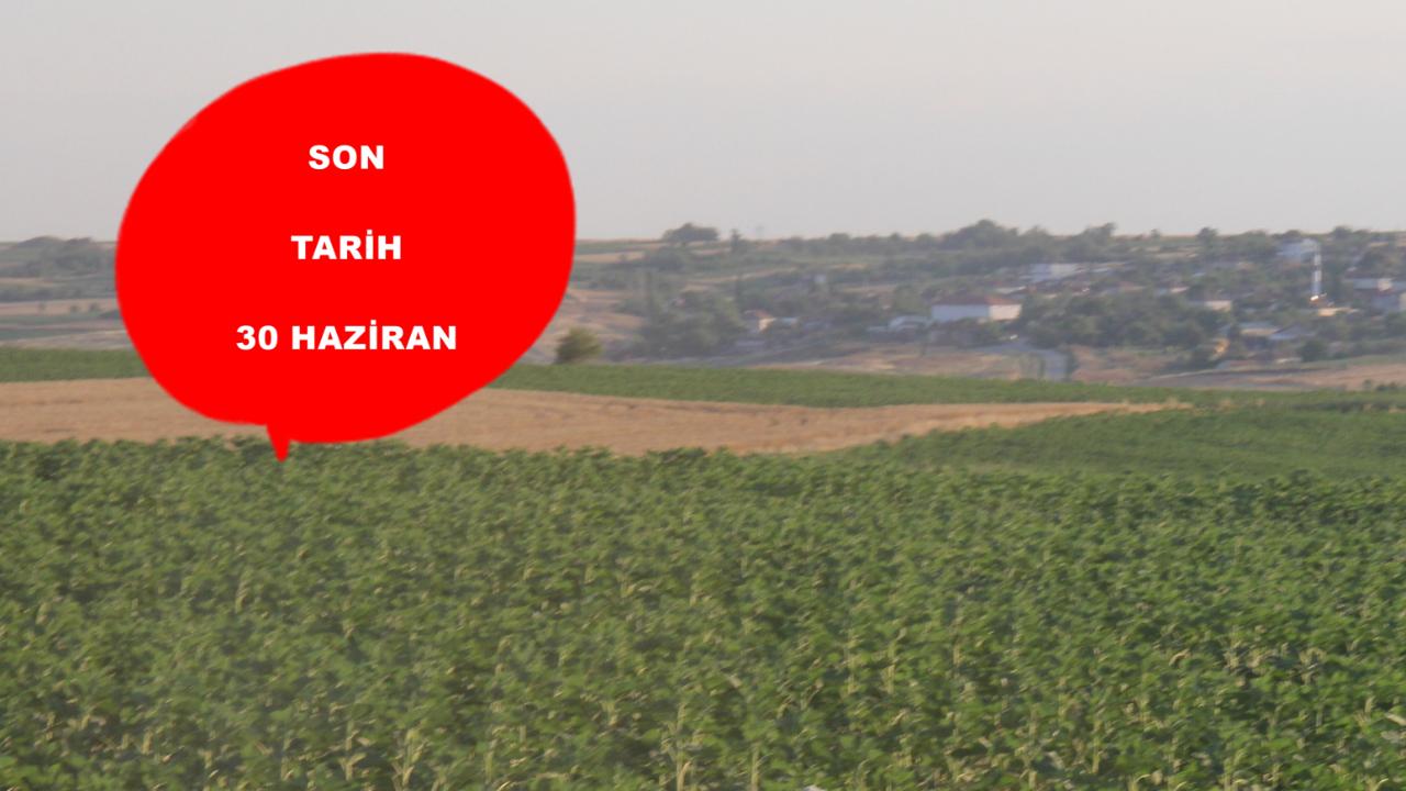 Kırklareli Ziraat Odası’ndan 30 Haziran Uyarısı