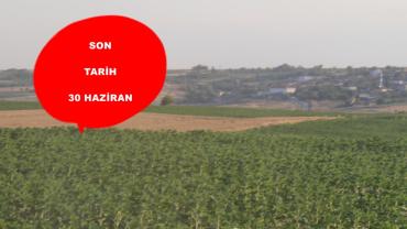 Kırklareli Ziraat Odası’ndan 30 Haziran Uyarısı