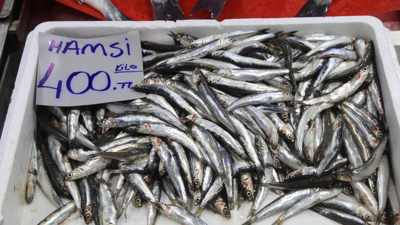 Kırklareli’nde Hamsi Fiyatı Şaşırttı