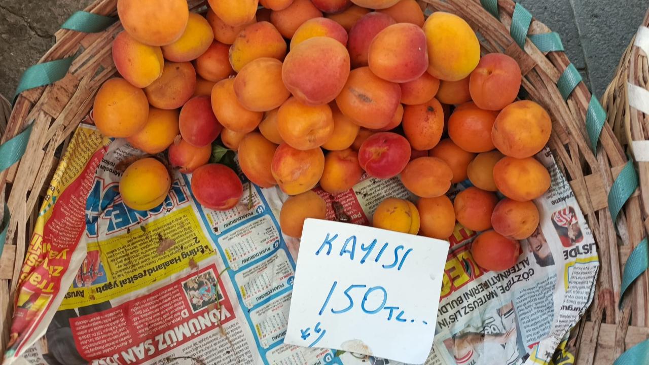 Kırklareli'nde Kayısı Fiyatı Cep Yakıyor!