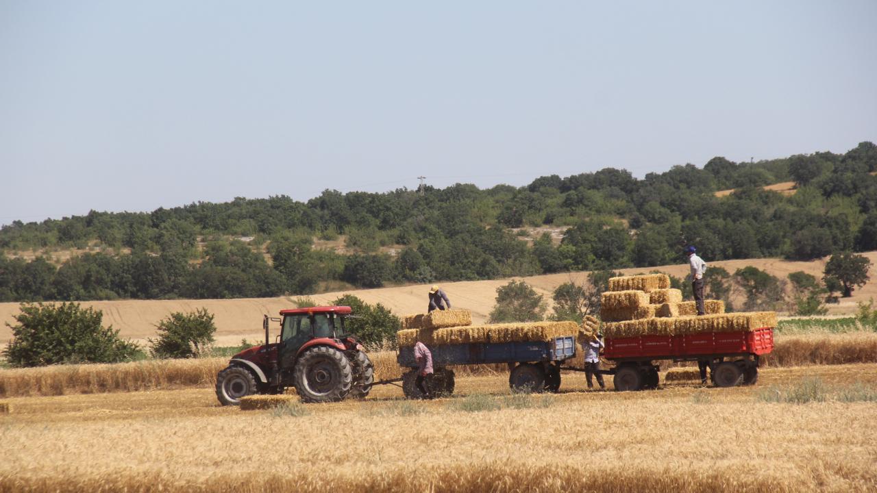 Kırklareli’nde Saman Balyası Mesaisi Başladı