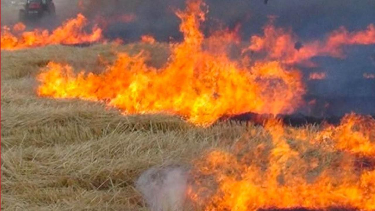Lüleburgaz Belediyesi’nden Anız Yangını Uyarısı