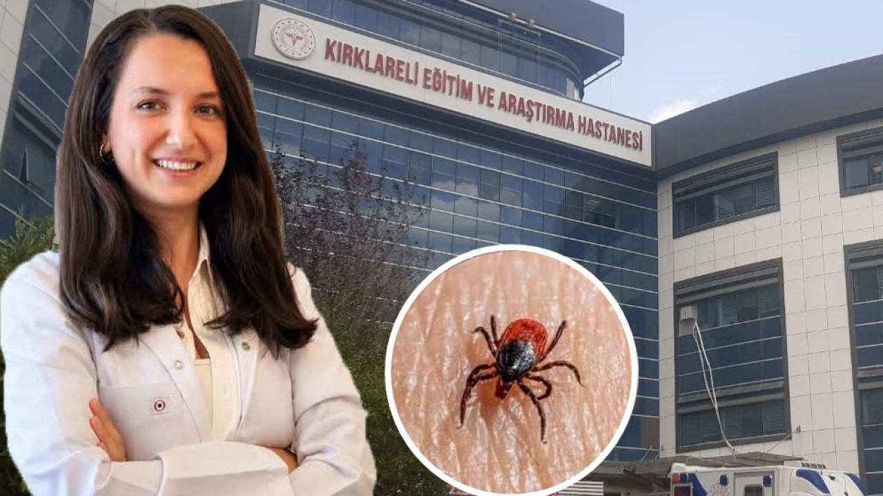 Kırklareli Eğitim ve Araştırma Hastanesi’nden Kene Uyarısı