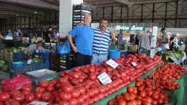 Kırklareli Pazarlarında Domates Bolluğu Fiyatları Düşürdü