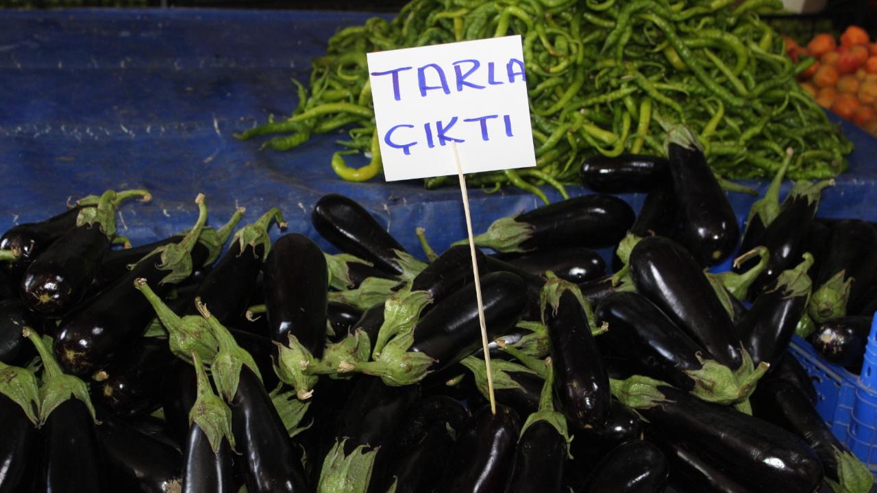Tarladan Halka Sağlıklı Yaşamın Doğal Rotası