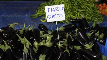 Tarladan Halka Sağlıklı Yaşamın Doğal Rotası