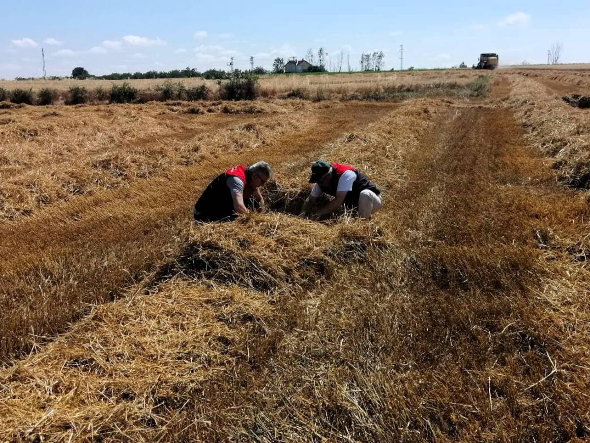 Kırklareli’nde Güvenli Hasat İçin Sahada Denetim