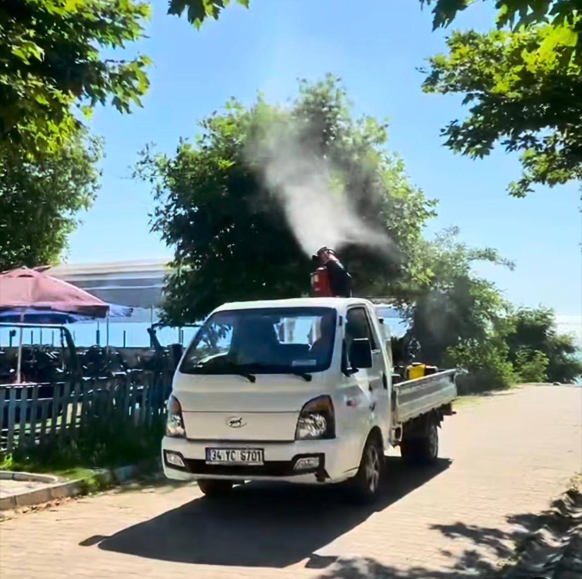 İğneada’da Ortak Alanlarda Haşere Seferberliği