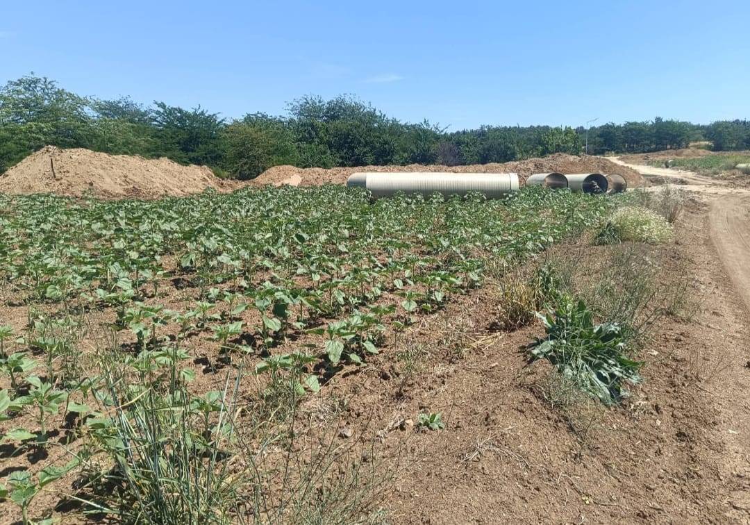 Edirne'de Sulama Projesi Tartışması Büyüyor