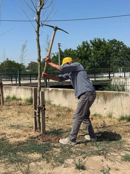 Kavaklı’da Yaz Mesaisi: Temizlik Çalışmaları Aralıksız Devam Ediyor